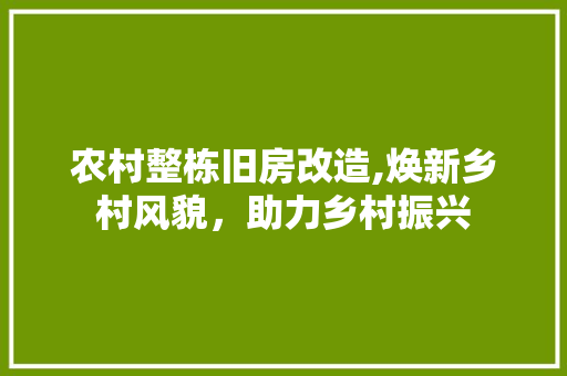 农村整栋旧房改造,焕新乡村风貌，助力乡村振兴