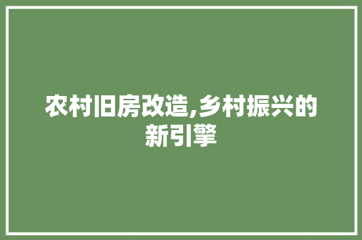 农村旧房改造,乡村振兴的新引擎