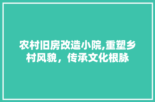 农村旧房改造小院,重塑乡村风貌，传承文化根脉