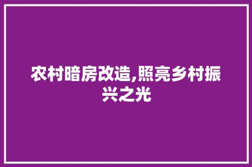 农村暗房改造,照亮乡村振兴之光 家居装饰