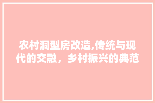 农村洞型房改造,传统与现代的交融，乡村振兴的典范