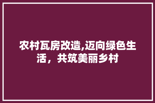 农村瓦房改造,迈向绿色生活，共筑美丽乡村