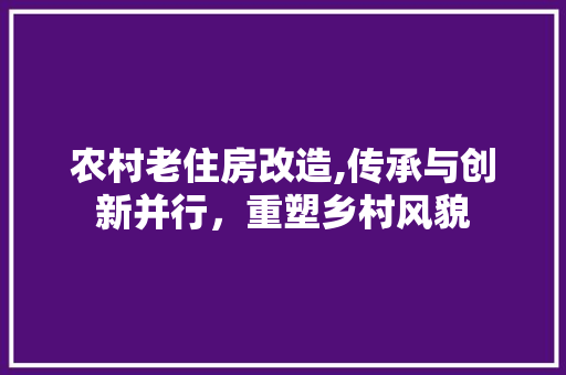 农村老住房改造,传承与创新并行，重塑乡村风貌