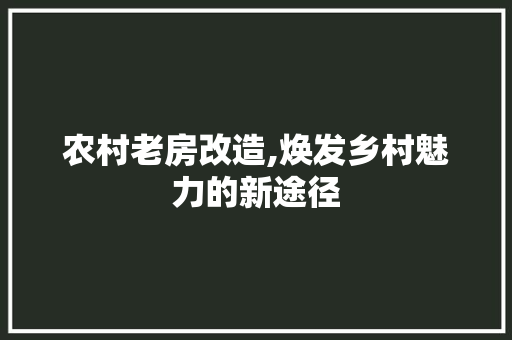 农村老房改造,焕发乡村魅力的新途径