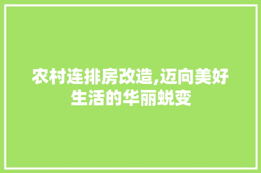 农村连排房改造,迈向美好生活的华丽蜕变
