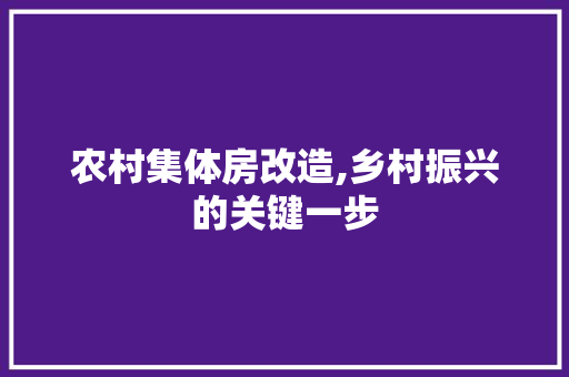农村集体房改造,乡村振兴的关键一步