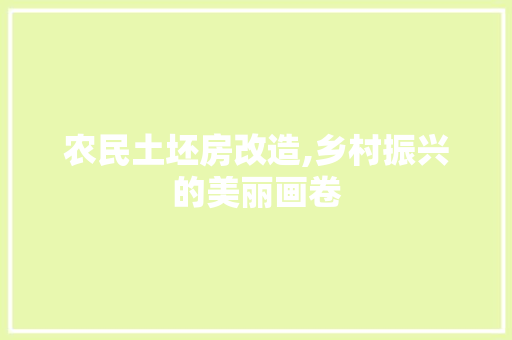 农民土坯房改造,乡村振兴的美丽画卷
