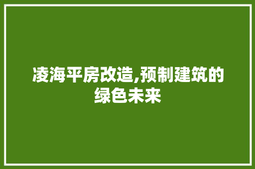 凌海平房改造,预制建筑的绿色未来