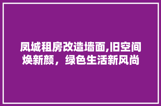 凤城租房改造墙面,旧空间焕新颜，绿色生活新风尚