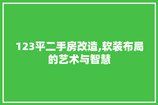 123平二手房改造,软装布局的艺术与智慧，二手房软装改造攻略。