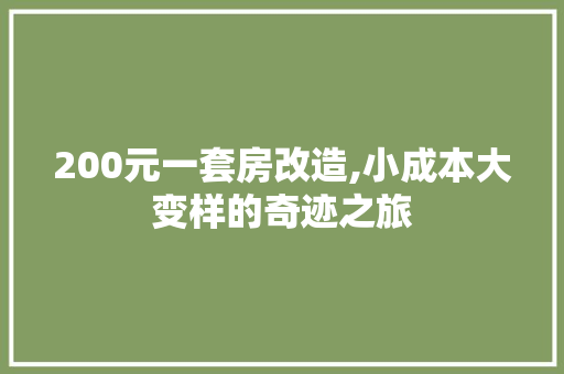 200元一套房改造,小成本大变样的奇迹之旅 装修知识