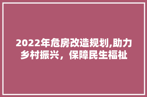 2022年危房改造规划,助力乡村振兴，保障民生福祉