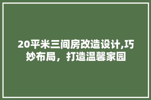 20平米三间房改造设计,巧妙布局，打造温馨家园 二手房