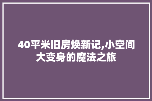 40平米旧房焕新记,小空间大变身的魔法之旅