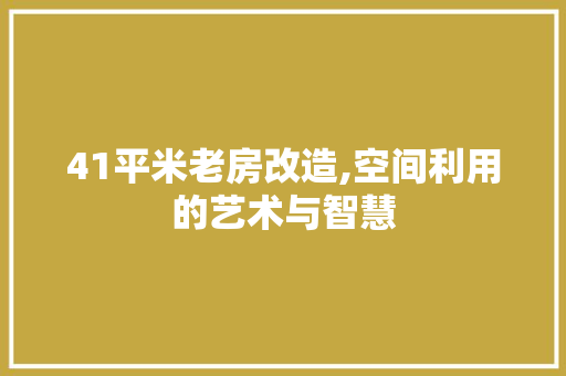 41平米老房改造,空间利用的艺术与智慧 家居设计