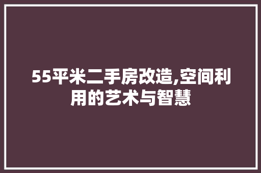 55平米二手房改造,空间利用的艺术与智慧 装修知识