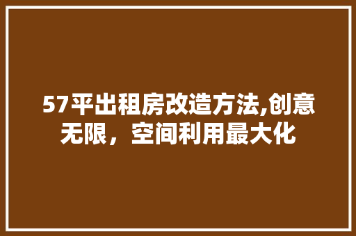 57平出租房改造方法,创意无限，空间利用最大化 买房须知