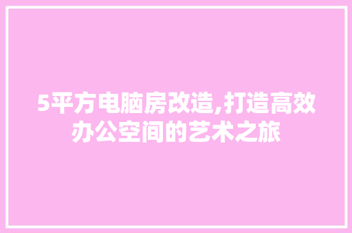 5平方电脑房改造,打造高效办公空间的艺术之旅