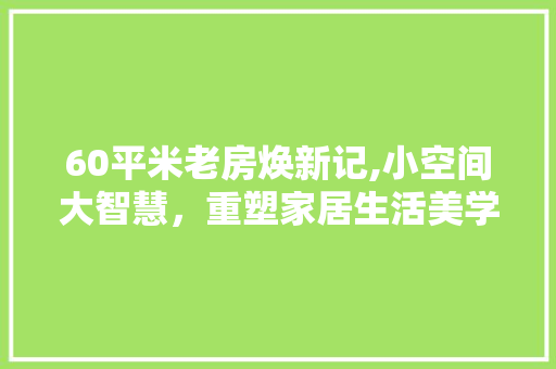 60平米老房焕新记,小空间大智慧，重塑家居生活美学