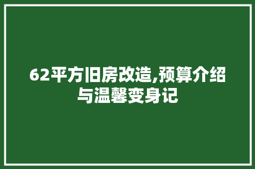 62平方旧房改造,预算介绍与温馨变身记，68平米旧房改造。