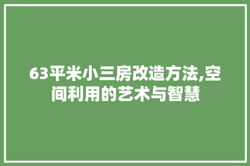 63平米小三房改造方法,空间利用的艺术与智慧