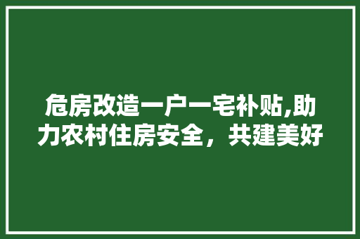 危房改造一户一宅补贴,助力农村住房安全，共建美好家园 家居装饰