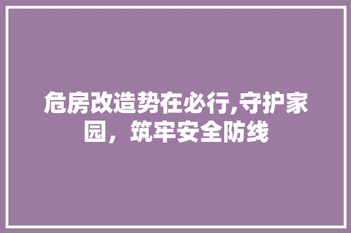 危房改造势在必行,守护家园，筑牢安全防线 家居装饰