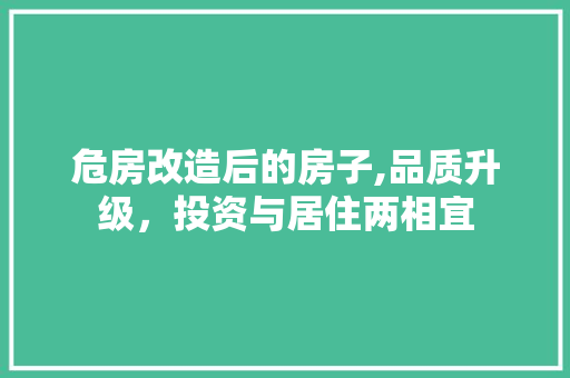 危房改造后的房子,品质升级，投资与居住两相宜