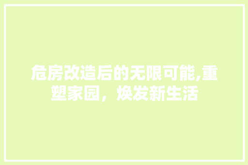危房改造后的无限可能,重塑家园，焕发新生活