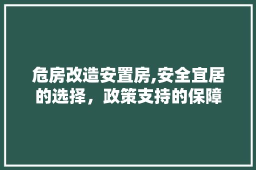 危房改造安置房,安全宜居的选择，政策支持的保障