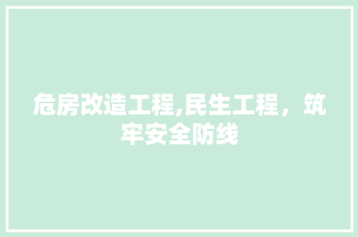危房改造工程,民生工程，筑牢安全防线