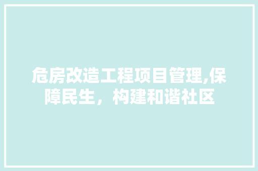 危房改造工程项目管理,保障民生，构建和谐社区