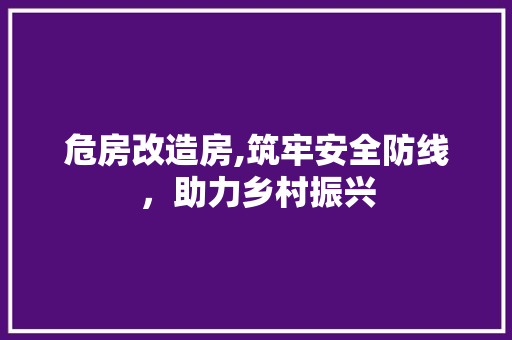 危房改造房,筑牢安全防线，助力乡村振兴