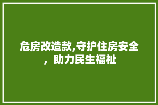 危房改造款,守护住房安全，助力民生福祉 家居装饰