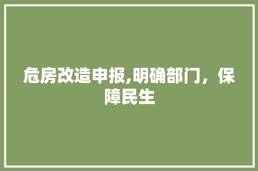 危房改造申报,明确部门，保障民生 二手房