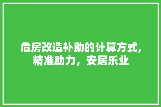 危房改造补助的计算方式,精准助力，安居乐业