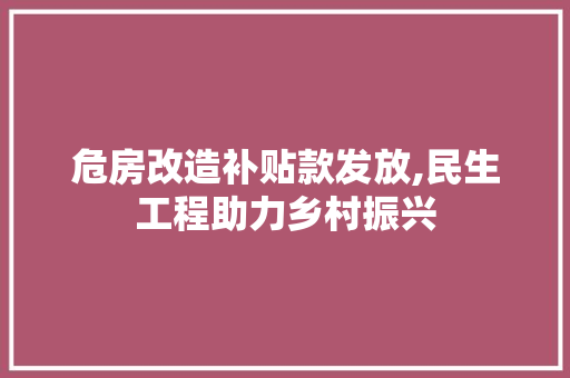危房改造补贴款发放,民生工程助力乡村振兴 二手房