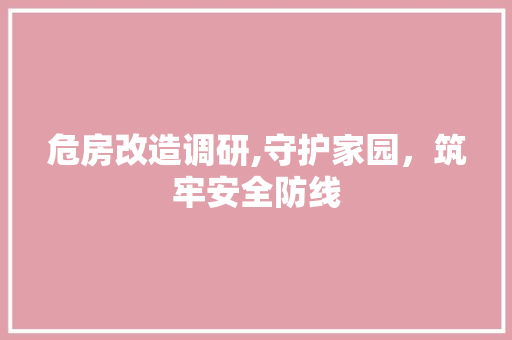 危房改造调研,守护家园，筑牢安全防线 二手房