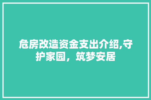 危房改造资金支出介绍,守护家园，筑梦安居 家居装饰
