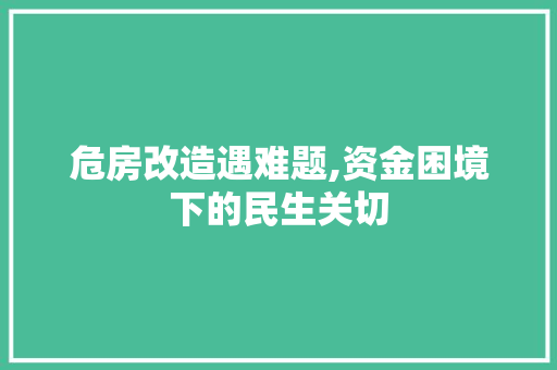 危房改造遇难题,资金困境下的民生关切