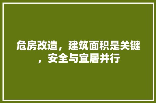 危房改造，建筑面积是关键，安全与宜居并行