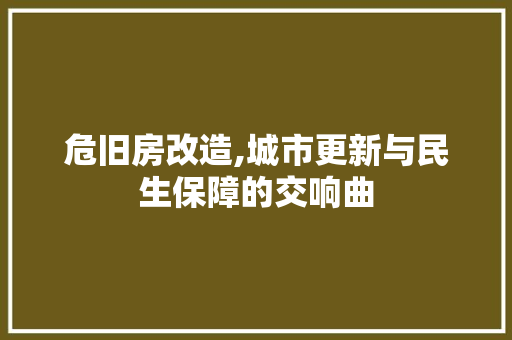 危旧房改造,城市更新与民生保障的交响曲