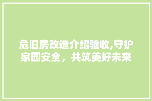 危旧房改造介绍验收,守护家园安全，共筑美好未来