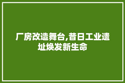 厂房改造舞台,昔日工业遗址焕发新生命