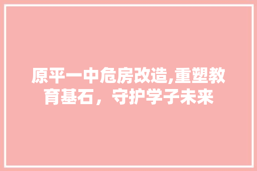 原平一中危房改造,重塑教育基石，守护学子未来