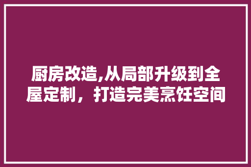 厨房改造,从局部升级到全屋定制，打造完美烹饪空间