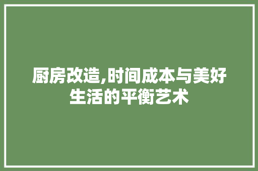 厨房改造,时间成本与美好生活的平衡艺术 买房须知