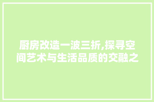 厨房改造一波三折,探寻空间艺术与生活品质的交融之路 二手房