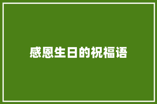 厨房改造四根管道布局的艺术_打造高效舒适烹饪空间 买房须知