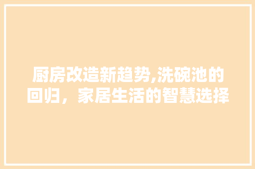 厨房改造新趋势,洗碗池的回归，家居生活的智慧选择 买房须知